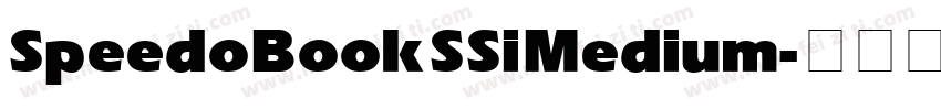 Speedo Book SSi Medium字体转换